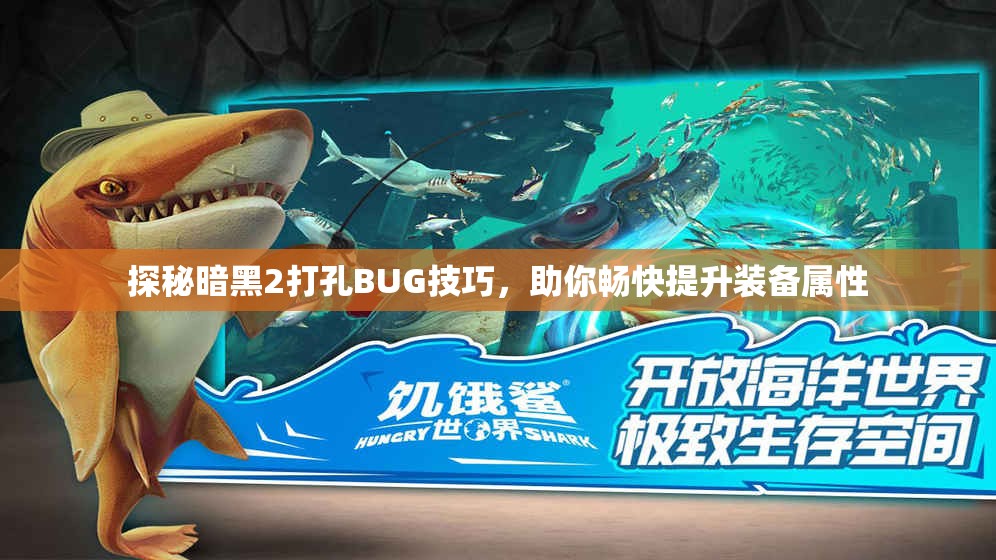 探秘暗黑2打孔BUG技巧，助你畅快提升装备属性