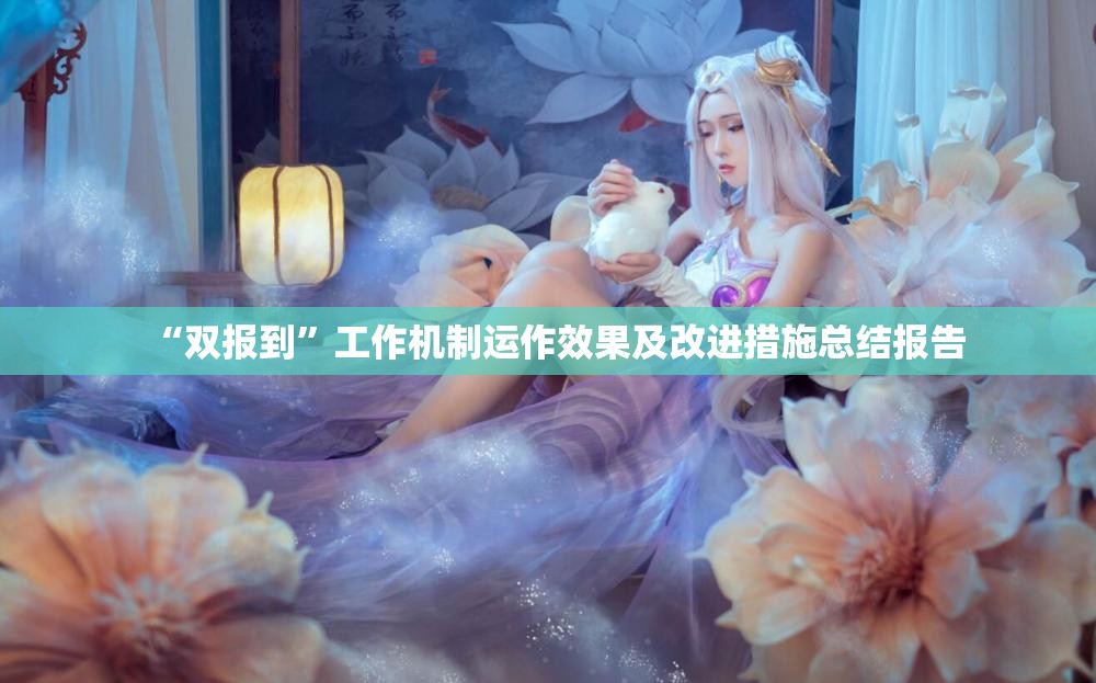 “双报到”工作机制运作效果及改进措施总结报告