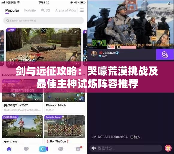 剑与远征攻略：哭嚎荒漠挑战及最佳主神试炼阵容推荐