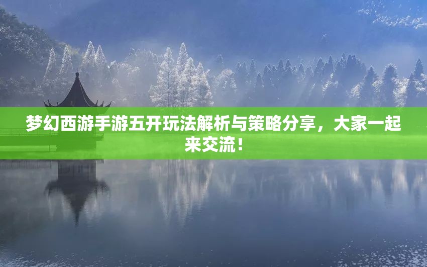 梦幻西游手游五开玩法解析与策略分享，大家一起来交流！
