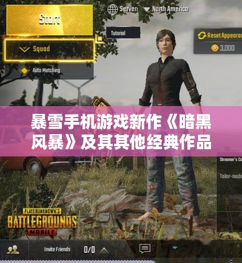 暴雪手机游戏新作《暗黑风暴》及其其他经典作品介绍