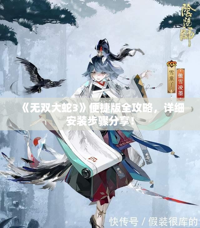 《无双大蛇3》便捷版全攻略，详细安装步骤分享！