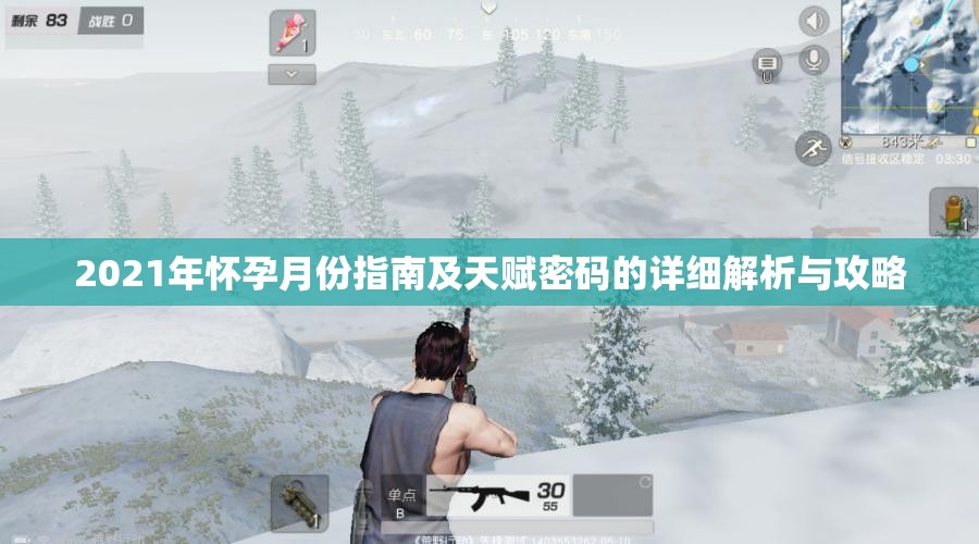 2021年怀孕月份指南及天赋密码的详细解析与攻略