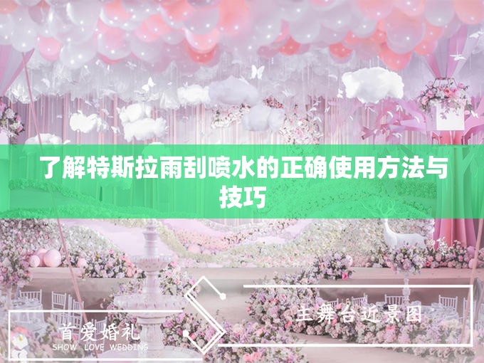 了解特斯拉雨刮喷水的正确使用方法与技巧