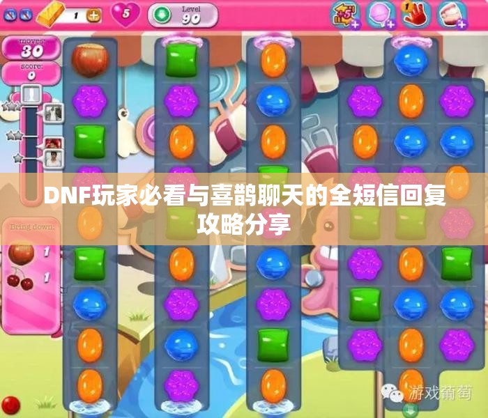 DNF玩家必看与喜鹊聊天的全短信回复攻略分享