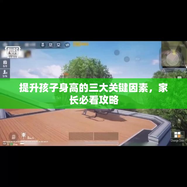 提升孩子身高的三大关键因素，家长必看攻略