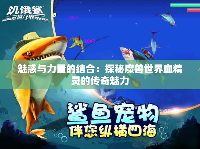 魅惑与力量的结合：探秘魔兽世界血精灵的传奇魅力