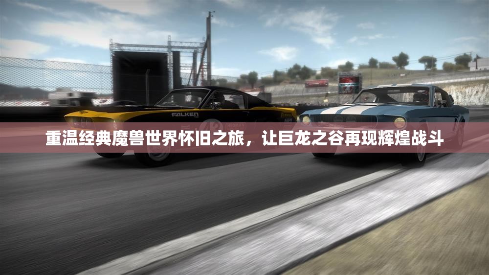 重温经典魔兽世界怀旧之旅，让巨龙之谷再现辉煌战斗