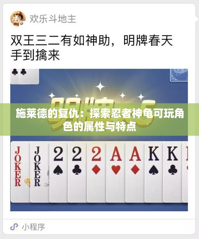 施莱德的复仇：探索忍者神龟可玩角色的属性与特点