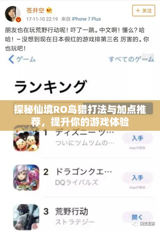 探秘仙境RO鸟猎打法与加点推荐，提升你的游戏体验