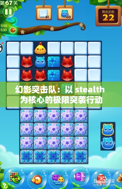 幻影突击队：以 stealth 为核心的极限突袭行动