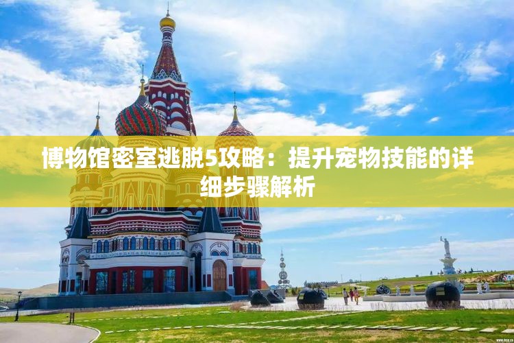 博物馆密室逃脱5攻略：提升宠物技能的详细步骤解析