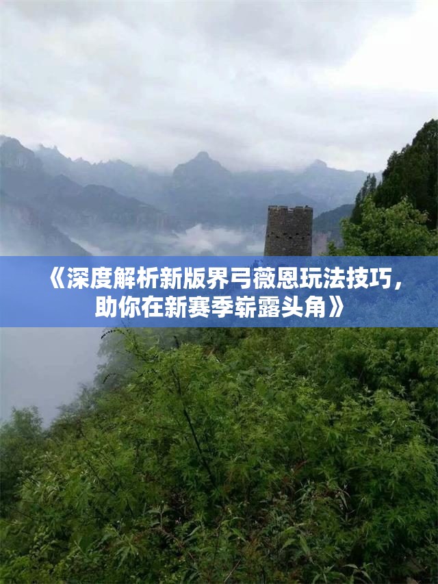 《深度解析新版界弓薇恩玩法技巧，助你在新赛季崭露头角》