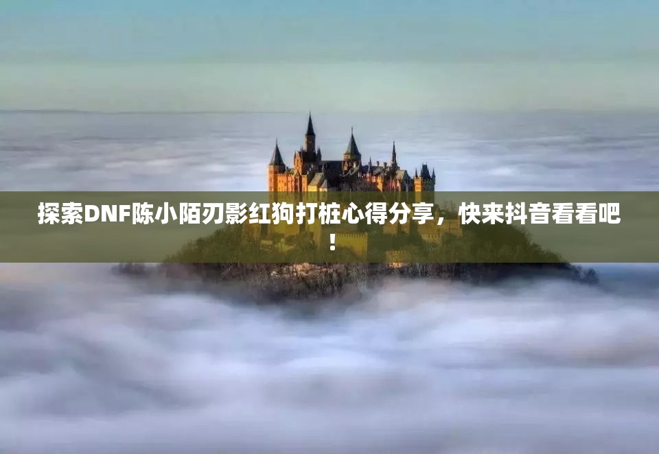 探索DNF陈小陌刃影红狗打桩心得分享，快来抖音看看吧！