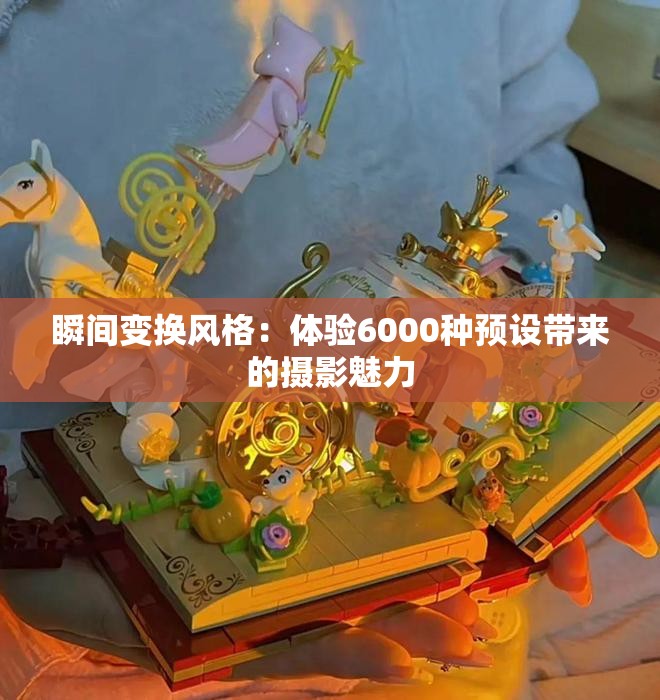 瞬间变换风格：体验6000种预设带来的摄影魅力