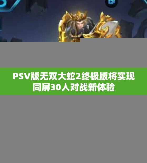 PSV版无双大蛇2终极版将实现同屏30人对战新体验