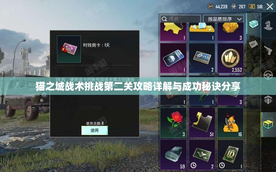 猫之城战术挑战第二关攻略详解与成功秘诀分享