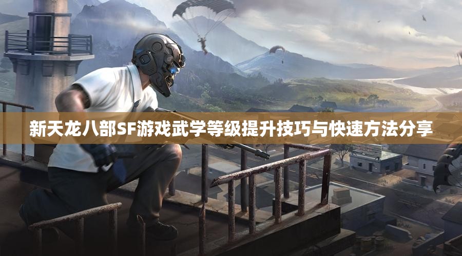 新天龙八部SF游戏武学等级提升技巧与快速方法分享