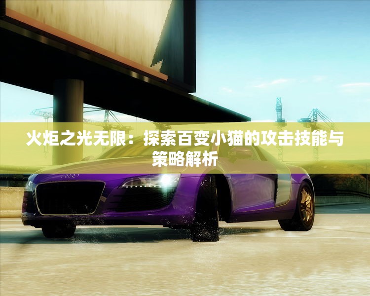 火炬之光无限：探索百变小猫的攻击技能与策略解析