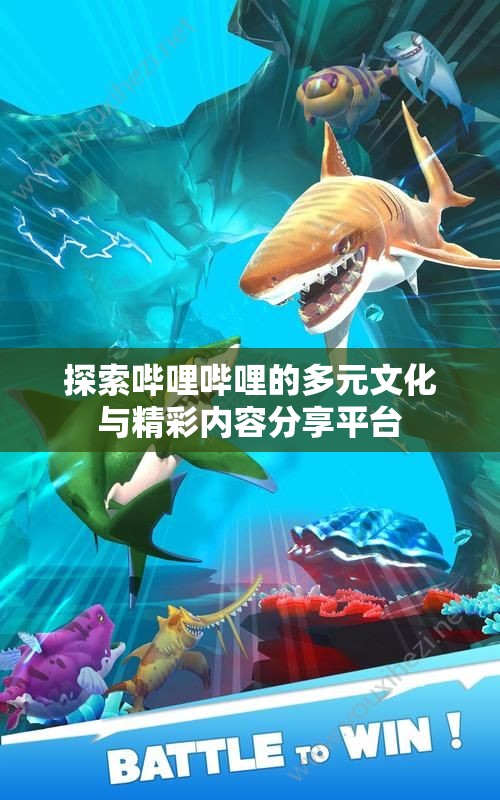 探索哔哩哔哩的多元文化与精彩内容分享平台