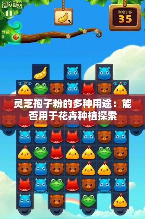 灵芝孢子粉的多种用途：能否用于花卉种植探索