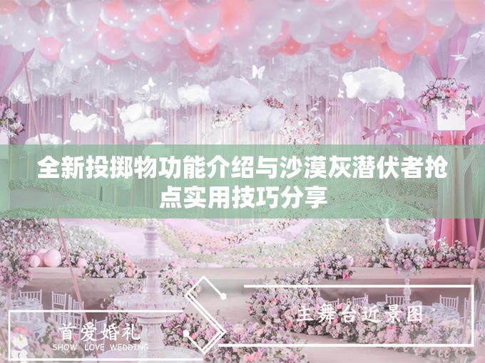 全新投掷物功能介绍与沙漠灰潜伏者抢点实用技巧分享