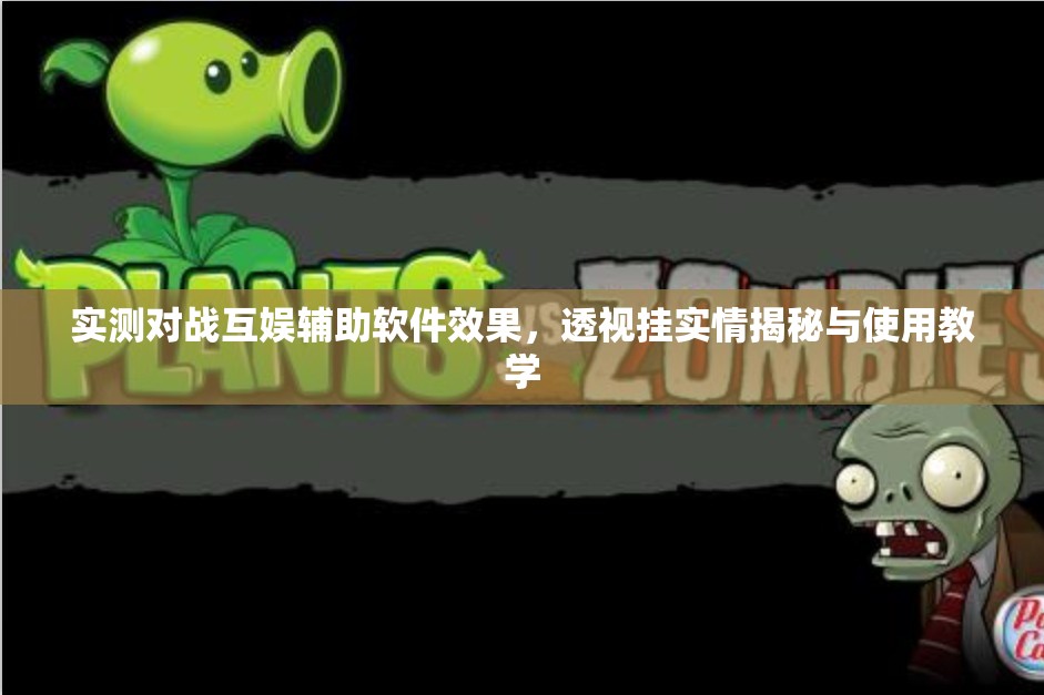 实测对战互娱辅助软件效果，透视挂实情揭秘与使用教学