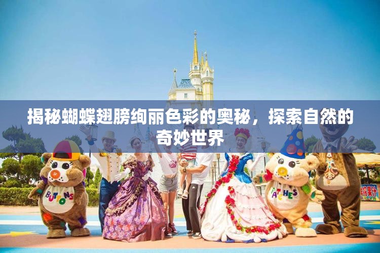 揭秘蝴蝶翅膀绚丽色彩的奥秘，探索自然的奇妙世界