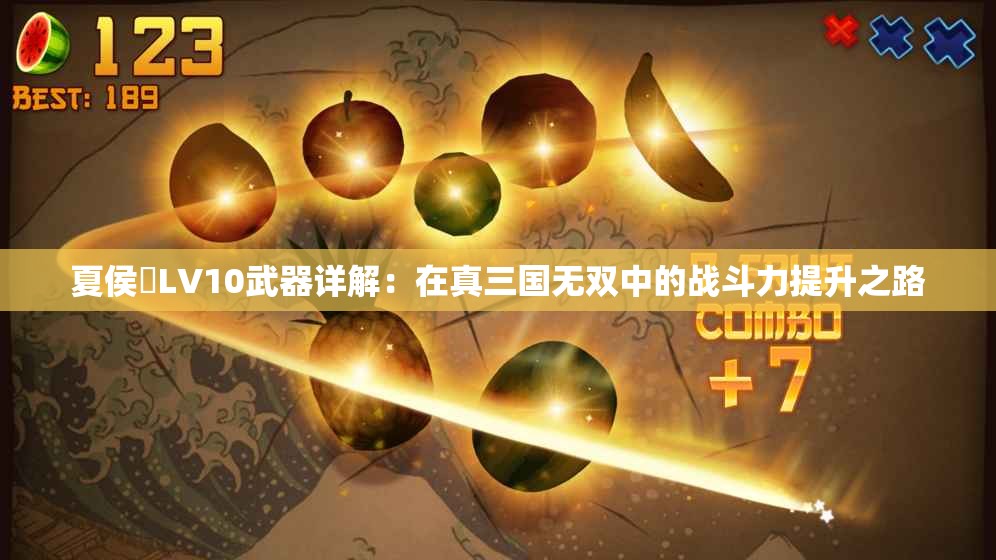 夏侯淵LV10武器详解：在真三国无双中的战斗力提升之路