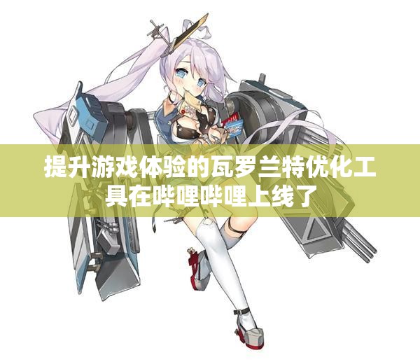 提升游戏体验的瓦罗兰特优化工具在哔哩哔哩上线了