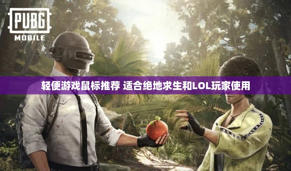轻便游戏鼠标推荐 适合绝地求生和LOL玩家使用