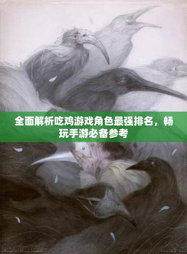 全面解析吃鸡游戏角色最强排名，畅玩手游必备参考
