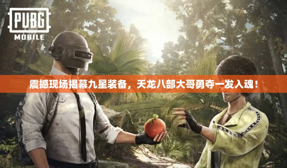 震撼现场揭幕九星装备，天龙八部大哥勇夺一发入魂！