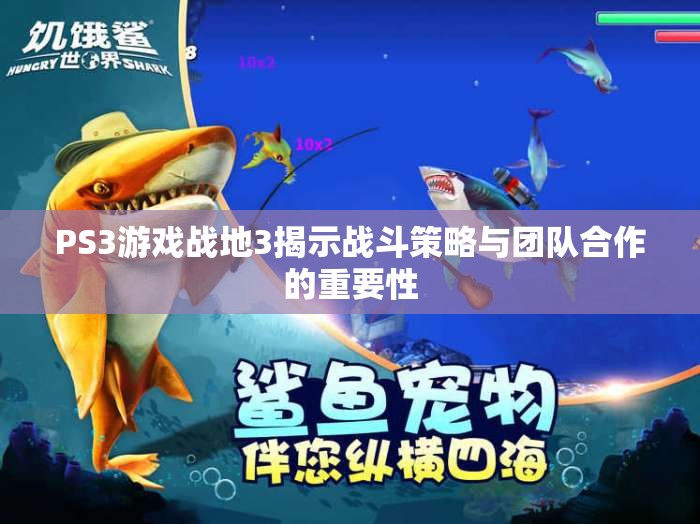 PS3游戏战地3揭示战斗策略与团队合作的重要性