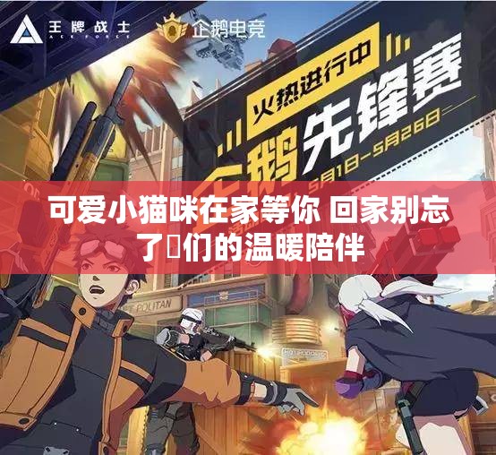 可爱小猫咪在家等你 回家别忘了牠们的温暖陪伴