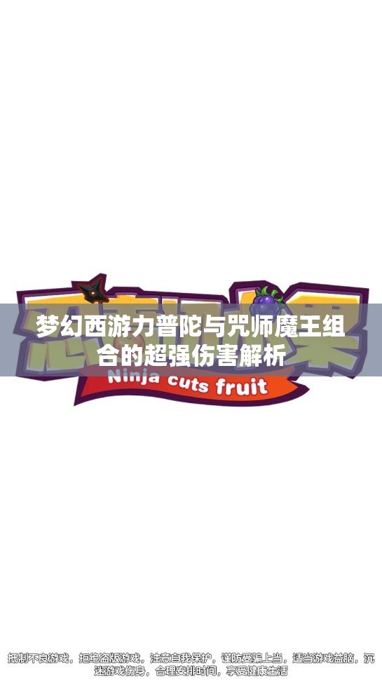 梦幻西游力普陀与咒师魔王组合的超强伤害解析