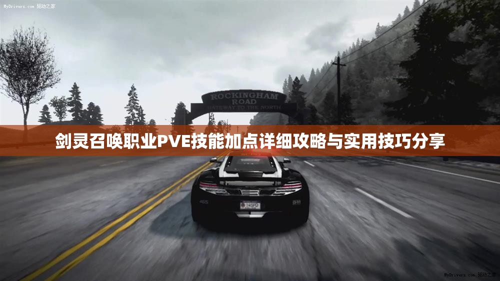 剑灵召唤职业PVE技能加点详细攻略与实用技巧分享