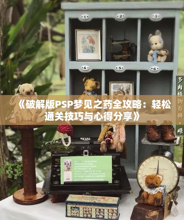 《破解版PSP梦见之药全攻略：轻松通关技巧与心得分享》