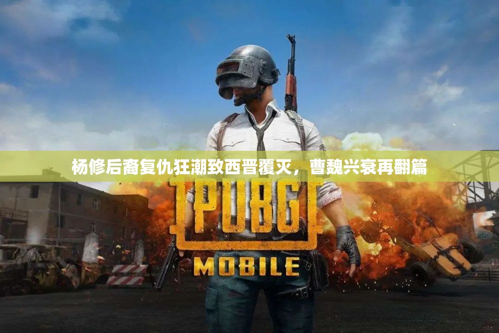杨修后裔复仇狂潮致西晋覆灭，曹魏兴衰再翻篇