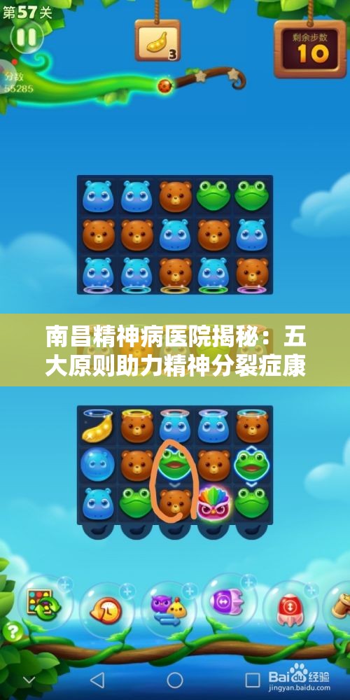南昌精神病医院揭秘：五大原则助力精神分裂症康复之路