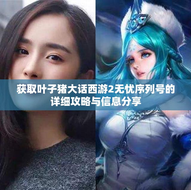 获取叶子猪大话西游2无忧序列号的详细攻略与信息分享