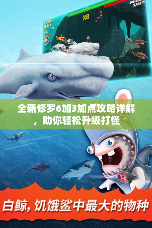 全新修罗6加3加点攻略详解，助你轻松升级打怪