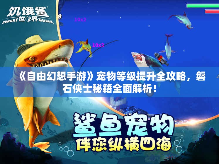 《自由幻想手游》宠物等级提升全攻略，磐石侠士秘籍全面解析！