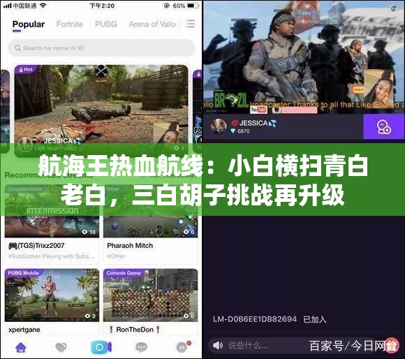 航海王热血航线：小白横扫青白老白，三白胡子挑战再升级