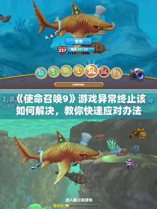 《使命召唤9》游戏异常终止该如何解决，教你快速应对办法