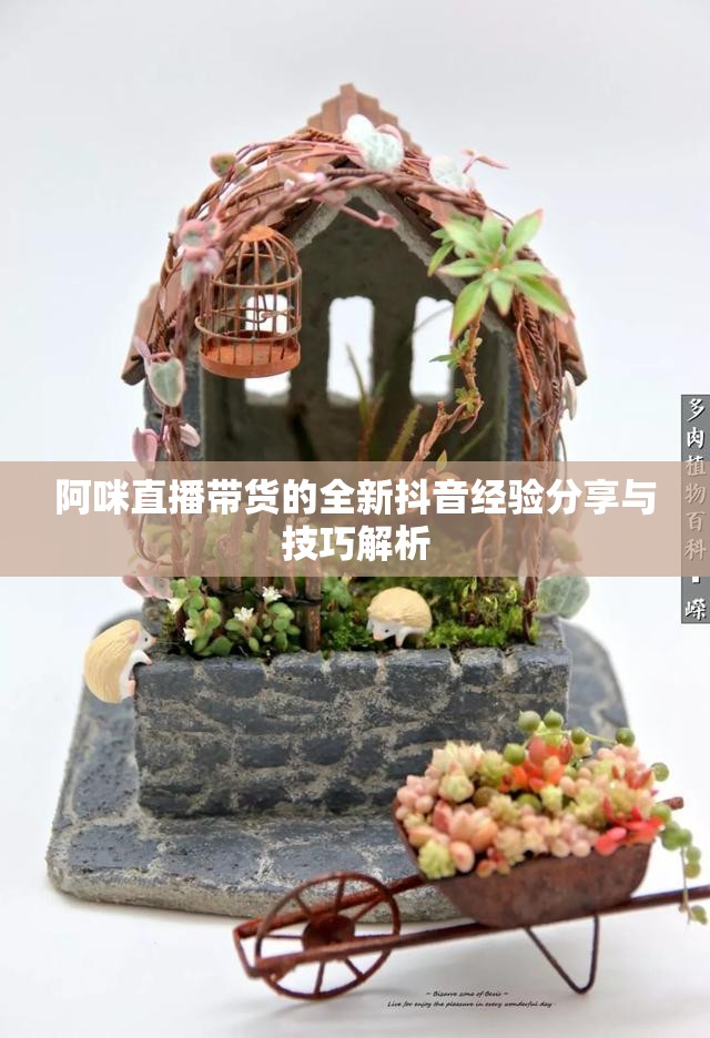 阿咪直播带货的全新抖音经验分享与技巧解析