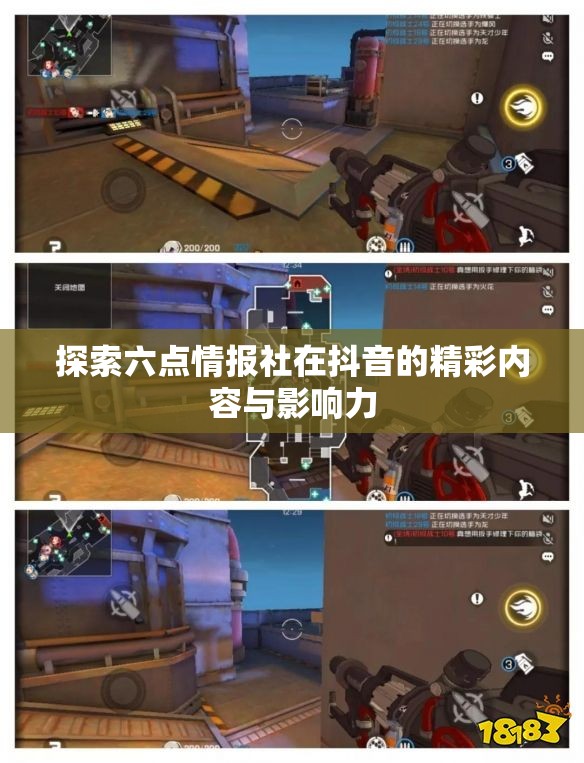 探索六点情报社在抖音的精彩内容与影响力