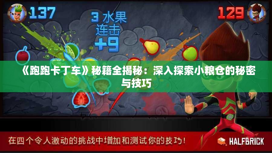 《跑跑卡丁车》秘籍全揭秘：深入探索小粮仓的秘密与技巧