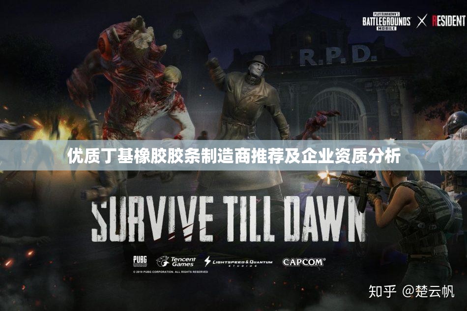 优质丁基橡胶胶条制造商推荐及企业资质分析