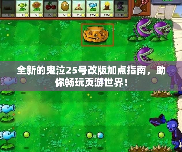 全新的鬼泣25号改版加点指南，助你畅玩页游世界！